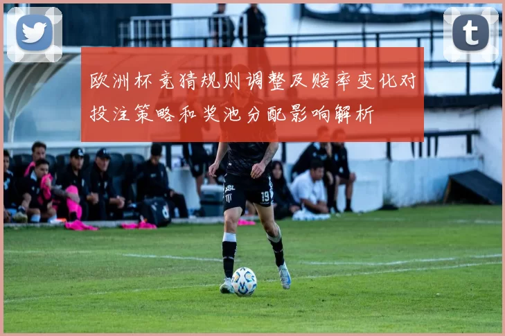 欧洲杯竞猜规则调整及赔率变化对投注策略和奖池分配影响解析