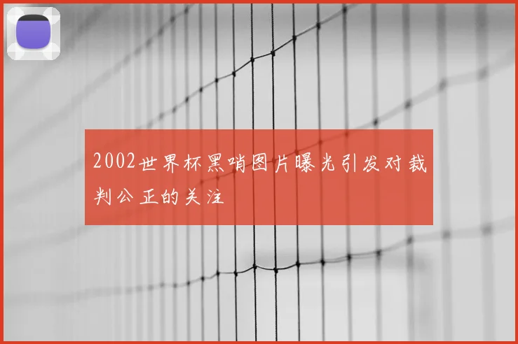 2002世界杯黑哨图片曝光引发对裁判公正的关注